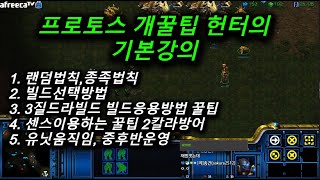 [스틱] 프로토스 강의 개꿀팁대공개 헌터 기본상식 스타팀플 TeamPlay StarCraft