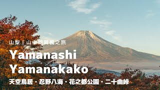 °.Yamanashi, Japan.° 2022 Lake Yamanakako Autumn Leaves Festival, amazing view of Mt Fuji