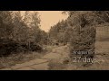 Andreas Brink - 27 days (Music Video)