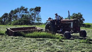 Farmall 656 Mowing 1st Cutting Hay With an Old Hesston Mower