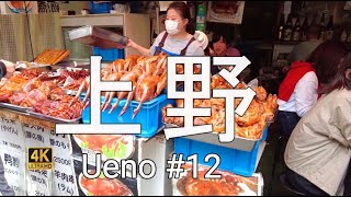 上野#12【4K】10月9日、上野アメ横を歩く　Walking along Ueno Ameyoko on October 9