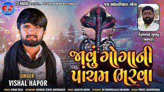 Vishal Hapor | જાવું ગોગાની પાંચમ ભરવા New Song | Javu Gogani Pancham Bharva | @csmusicofficial9568