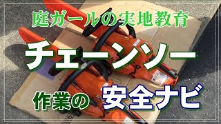 【造園】チェーンソー安全教育、講習の様子です。最後に迫力満点の伐木シーンあります！