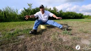 Habitat Tip: The Importance of Bare Ground for Native Bees