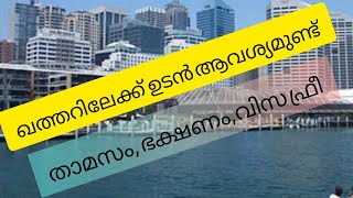 Job Vacancy to Qatar /ഖത്തറിലേക്ക് ഉടൻ ആവിശ്യം ഉണ്ട് /Hafisu's World / July 2021