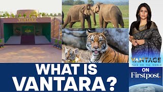 Vantara | India's Solution to Wildlife Biodiversity Loss | Vantage with Palki Sharma