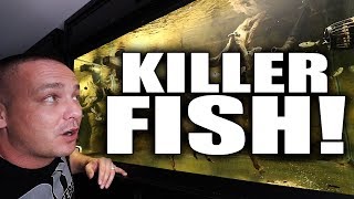 AFTER 16 YEARS, I FINALLY FOUND THIS FISH!!! | The King of DIY