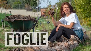 SETTE MODI PER UTILIZZARE LE FOGLIE NELL'ORTO 🍂 🍁