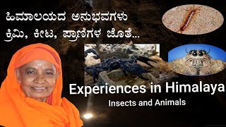 Pt-6|ಪ್ರಾಣಿಗಳು ಮತ್ತು ಹಿಮಾಲಯದ ಅನುಭವಗಳು|Experiences with Animals in Himalaya|ಪೂಜ್ಯ ಮಾತಾ ಅಮೃತಮಯೀ