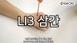 LI3 삼간 三間 Sanjian (Eng sub) - KMCRIC WHO Standard acupoint DB