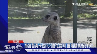 把握暑假!樂園搶商機 紛推入園優惠吸客｜TVBS新聞