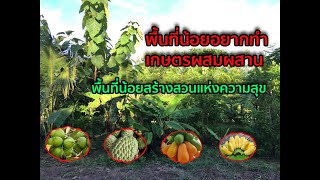 พื้นที่น้อยอยากทำเกษตรผสมผสานพื้นที่8เมตรคูณ8เมตรสร้างสวนแห่งความสุข #ไร่ดวงดาว #เกตร999