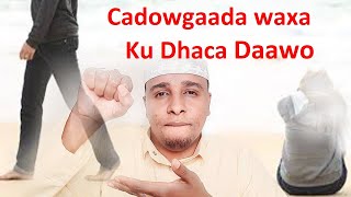 Habeynki samee sidan kadib seexo cadowgada waxa ku Dhaca Daawo Alle kaaga aaraya xaqaada waa Helaysa