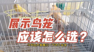 【玉鸟繁殖】繁殖饲养鸟笼怎么选择