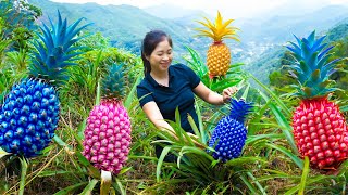 Harvesting Blue Pineapple \u0026 Goes To Market Sell | Gardening And Cooking | Lý Tiểu Vân