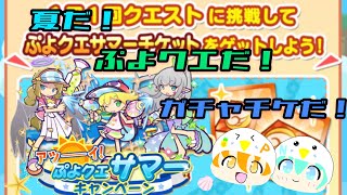 【ぷよクエ】第1回サマーチケットガチャ毎日引きます！パピー編