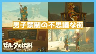 【ゼルダの伝説BotW #30】男子禁制の街！？ゲルドの街にいざ潜入！！