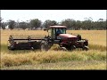 canola swathing 2013