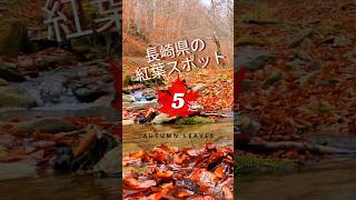 長崎県の紅葉スポットを紹介！県北から県南まで幅広い地域の紅葉を紹介しています。ドライブやもみじ狩りにぜひ訪れてみてください♡#紅葉#ドライブ