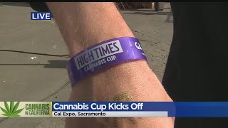 Cannabis Cup Kicks Off