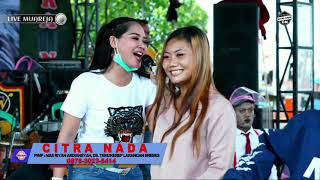 CINTA SENGKETA || CITRA NADA LIVE SEDEKAH LAUT & REUNI NAHKODA || MUARAREJA (BRUG ABANG) - TEGAL