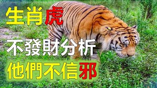 生肖虎2023年屬虎不同年齡運勢分析及生肖虎每月運程詳解大全，2023年12生肖运势，預測十二生肖（鼠、龍、猴、兔）生肖運勢（牛、蛇、雞、豬）生肖運勢（虎、馬、狗、羊）生肖運程