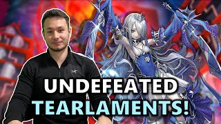 First Place Undefeated CRBR 3v3 Tearlaments Kashtira Fiendsmith Deck Profile Ft. Yousef!