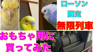 【おもちゃ】オカメインコとセキセイインコに買ってみた🤗