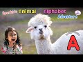 Amazing Animals Starting with 'A' | Learn Animal Alphabet & Fun Facts for Kids with Sparkle!