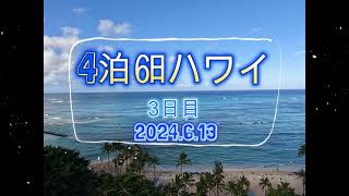 2024 6 13 hawaii  ハワイ　4泊6日【ハワイ3日目】ピンクピルボックス登山とワイケレアウトレットでお買い物！サンセットビーチでサンセット見れなかったけど曲がったヤシの木と偶然の出会い！