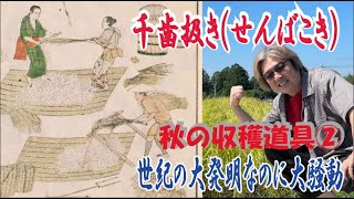 千歯扱き(せんばこき)　江戸時代の脱穀　大発明なのに嫌われ者　米用麦用で売ってるのに、使っている人は「関係ないね」ってがっかり。秋の収穫道具②