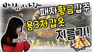 이 귀한걸 질러보다니.. 패자황금갑주,용3차갑옷 대리지름기..