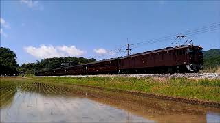 EF6437+旧客5両+D51498【SL本物の出会い栃木号】本運転・送り込み回送　#JR両毛線 #SL本物の出会い栃木号 #D51498 #EF6437