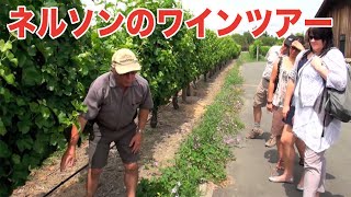 ニュージーランド南島・ネルソンのワインツアー　Nelson Wine Tour