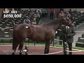 2018 Keeneland September Yearling Sale: Hip 893