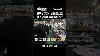 중국 최대 꽃시장, 꽃 4다발이 김밥 보다 싸다 #다시갈지도 #채널S #shorts