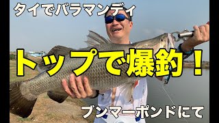 【おっさん海外遠征】2020タイランドで釣りと食べ歩き！トップでバラマンディ爆釣！