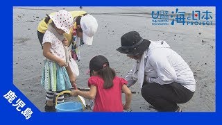 2017年 #22 垂水市干潟観察会 | 海と日本PROJECT in 鹿児島