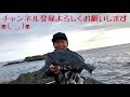 シーバスロッドに想定外の大物hitで竿がブチ曲がった！！大量のカタクチイワシを襲う魚を釣る