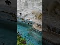 カラスとの攻防　 minnanotennojizoo 天王寺動物園 ホッキョクグマ ホウちゃん polarbear シロクマ houchan　23.6.10 15 02