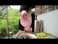 invited to cook widow herang bening cooking harvested cassava behind her house