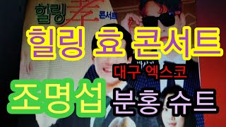 조명섭,힐링 효 콘서트,대구 엑스코 공연 실황,