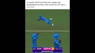 Ravindra Jadeja takes a flying catch & Bangladesh in trouble #ravindrajadeja #indvsban  Crictracker