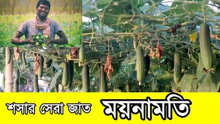 কৃষকের মুখে এ আর মালিক সীডস প্রাঃ লিমিটেড এর হাইব্রিড শসা ময়নামতি চাষে বাম্পার ফলনের কথা-Malik Seeds