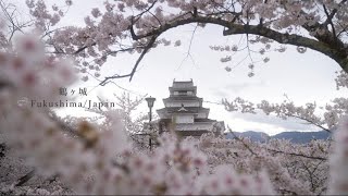 【東北の絶景を旅する】HUKUSHIMA/JAPAN 福島県会津若松市鶴ヶ城４K