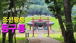 구리 동구릉 조선왕릉 숲길 산책