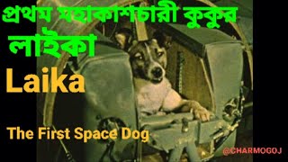 লাইকা প্রথম মহাকাশে যাওয়া কুকুর| Laika The First Dog In Space| @Charmogoj#facts #spacedog #bengali