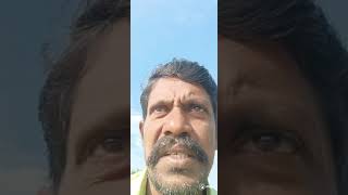 அ மை தி நி லை த் தி ட எ ன் ன செ ய் வ து