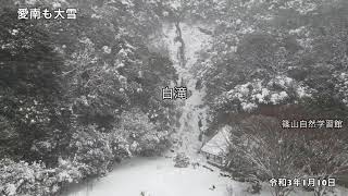 【オンライン里帰り】愛南も大雪   4K