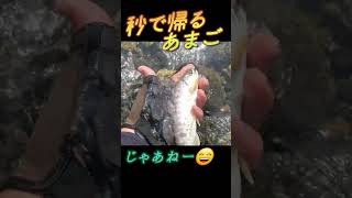 釣り人あるある『秒で帰るあまご』